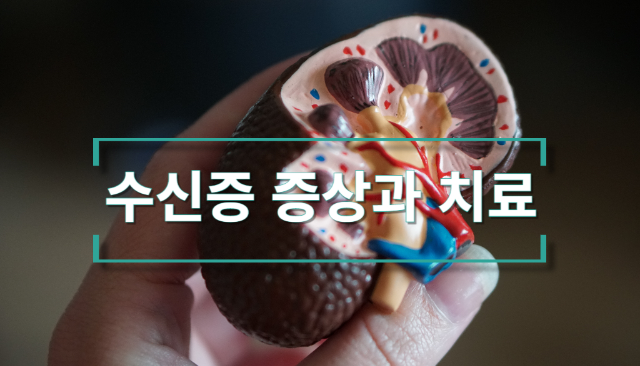 수신증 증상
