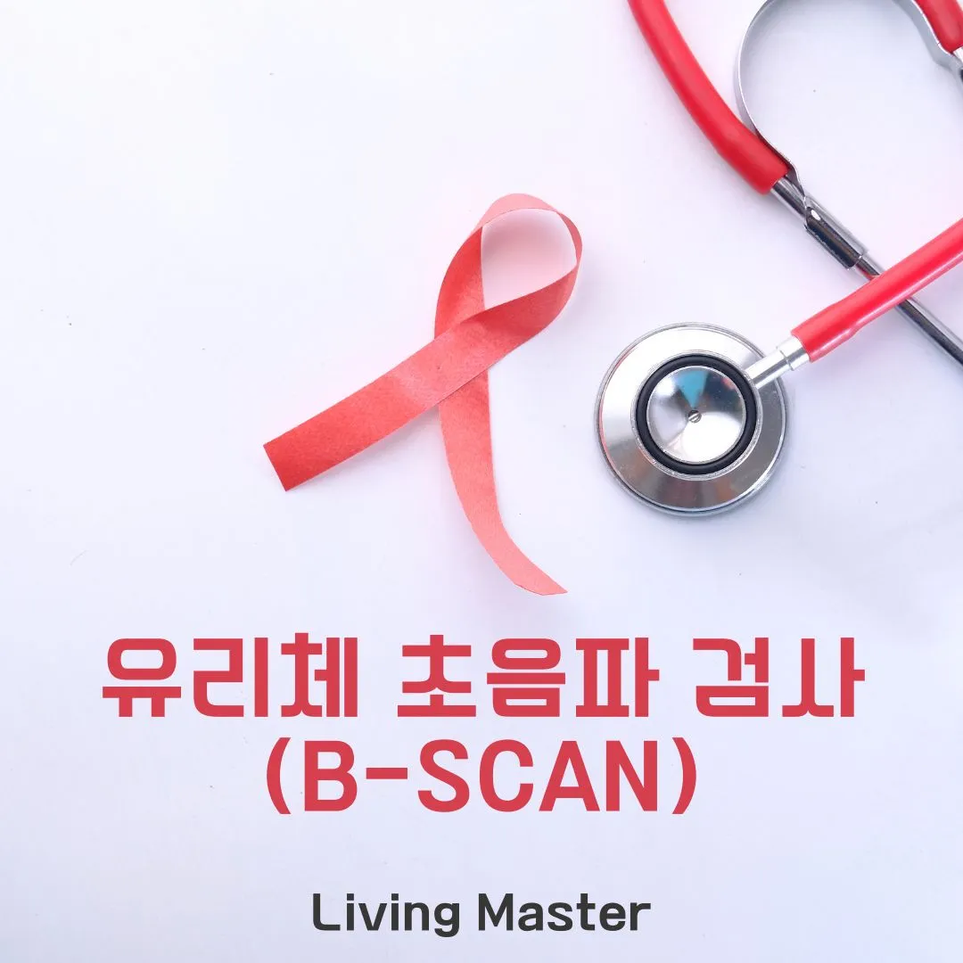 유리체 초음파 검사