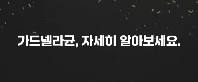가드넬라균 질염 증상, 원인, 치료 방법 (여성 건강)
