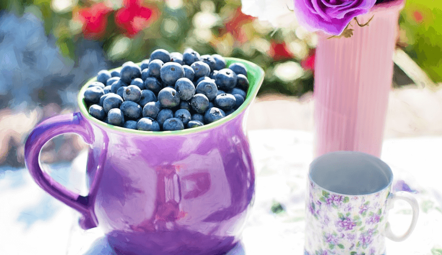 노화 방지에 좋은 음식인 블루베리가 그릇에 담겨 있다