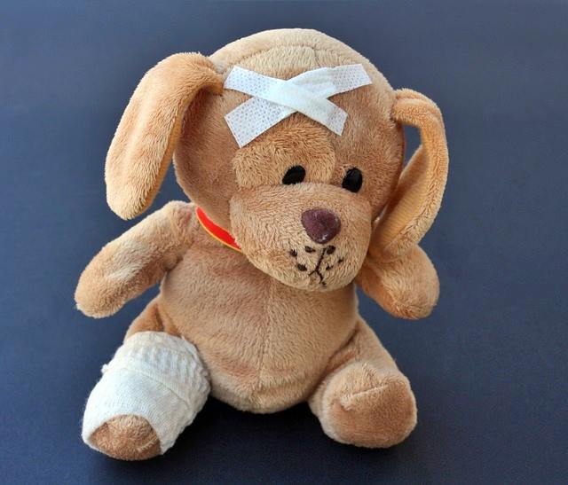 반려동물 등록과 비용, 자진신고로 과태료 피하기, 외장칩과 내장칩의 차이