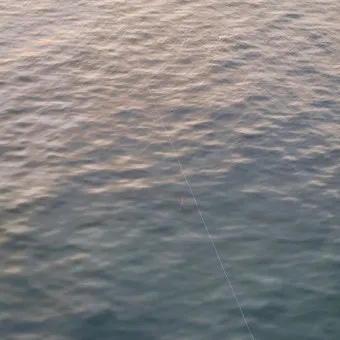 초보 바다낚시 최고 추천 명소 쉽게 낚시할 수 있는 추천 장소 5곳_9