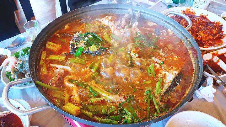 보령 대천해수욕장 맛집 추천 생방송투데이 꼼치맑은탕 꼼치매운탕 주꾸미 볶음 굴찜 해물 특산물 한상 오늘방송 보고 먹고 즐기고 3GO