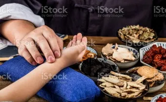 약용식물 동충하초 자연의 신비 건강 효능과 활용_36