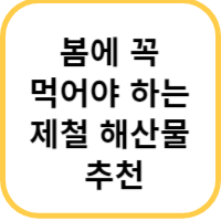 봄 제철 해산물