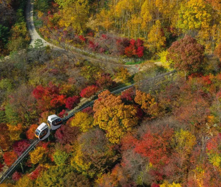 화담숲-예약방법-3분 완벽-가이드