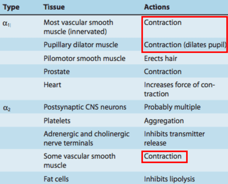 옥시메타졸린_작용기전
