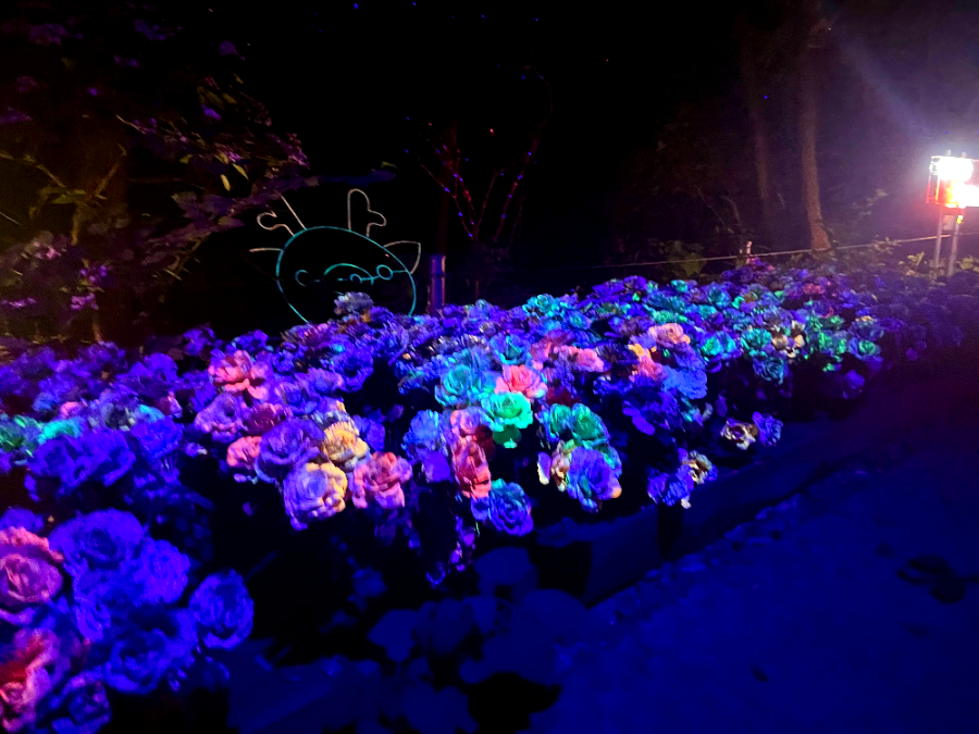 꽃빛의 메조포르테