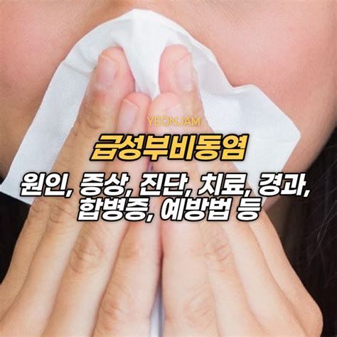 부비동염