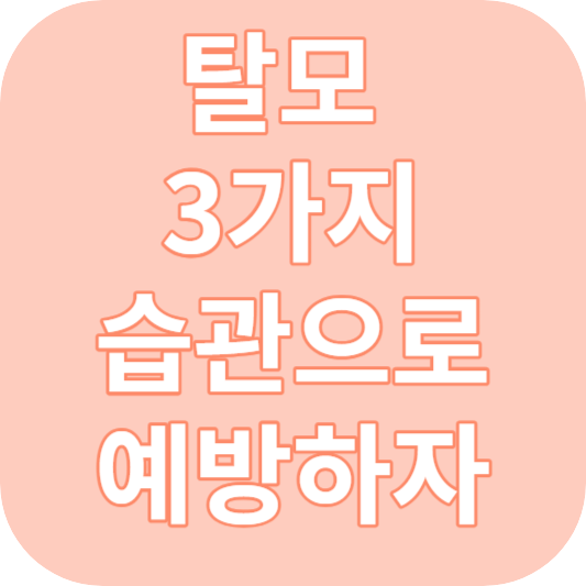 탈모 예방법