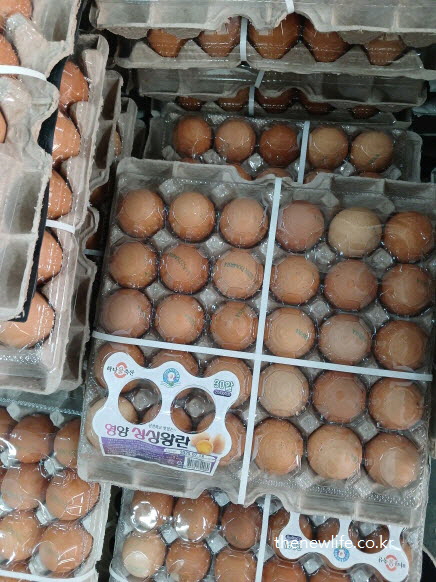 마트에 진열된 대용량 신선한 계란-탄수화물 중독 끊는 대체 음식 이미지