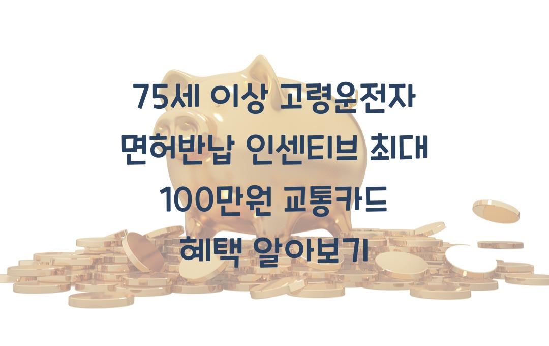 75세 이상 고령운전자 면허반납 인센티브, 교통카드 최대 100만원 충전 혜택