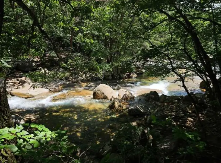 곡성 도림사 계곡