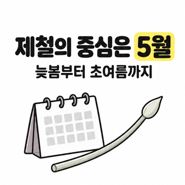 5월을 중심으로 늦봄부터 초여름에 즐기는 마늘쫑과 달력 그림