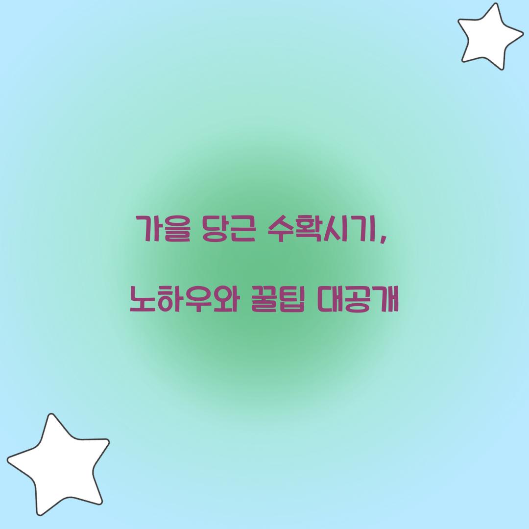 가을 당근 수확시기