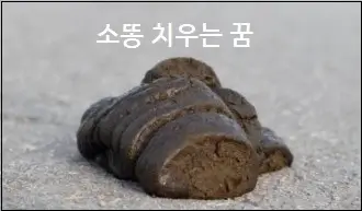 소똥 치우는 꿈