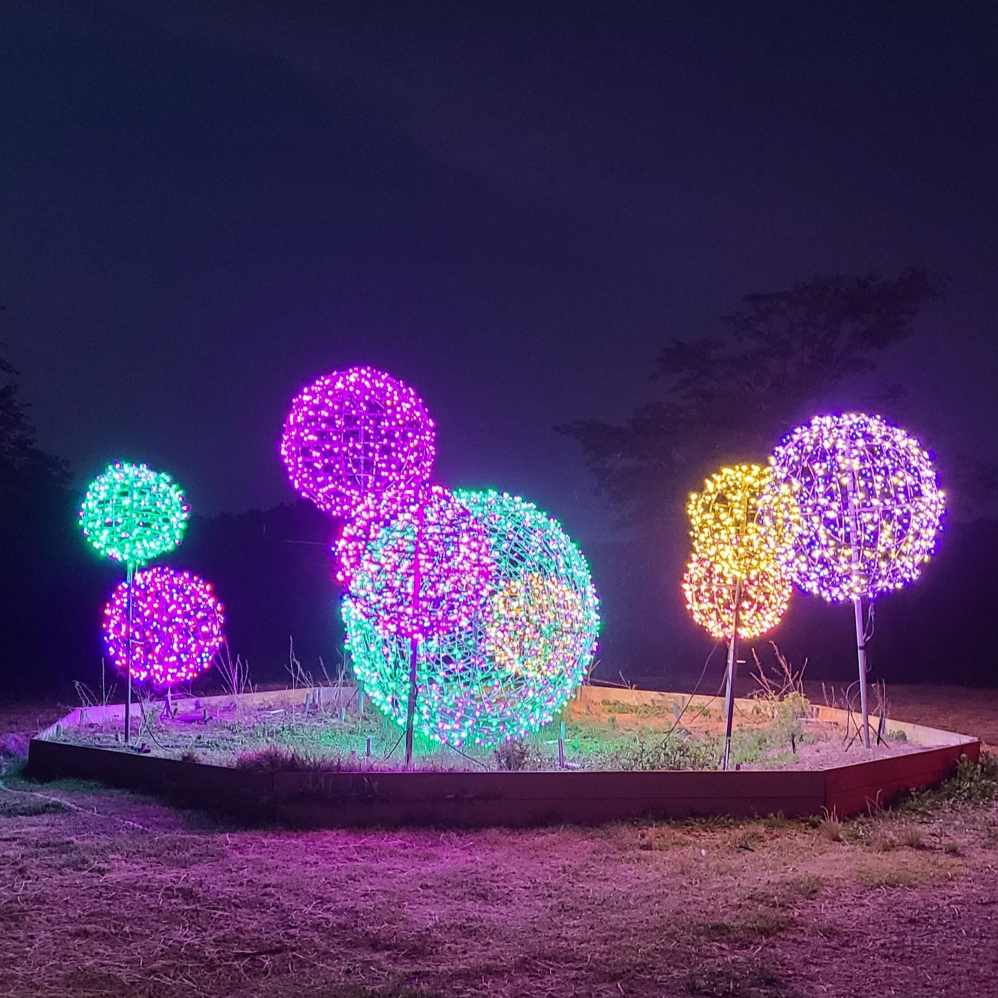 태안빛축제할인방법 태안별빛축제 태안불빛축제 태안애견동반 태안꽃축제 튤립축제 꽃박람회 태안할인