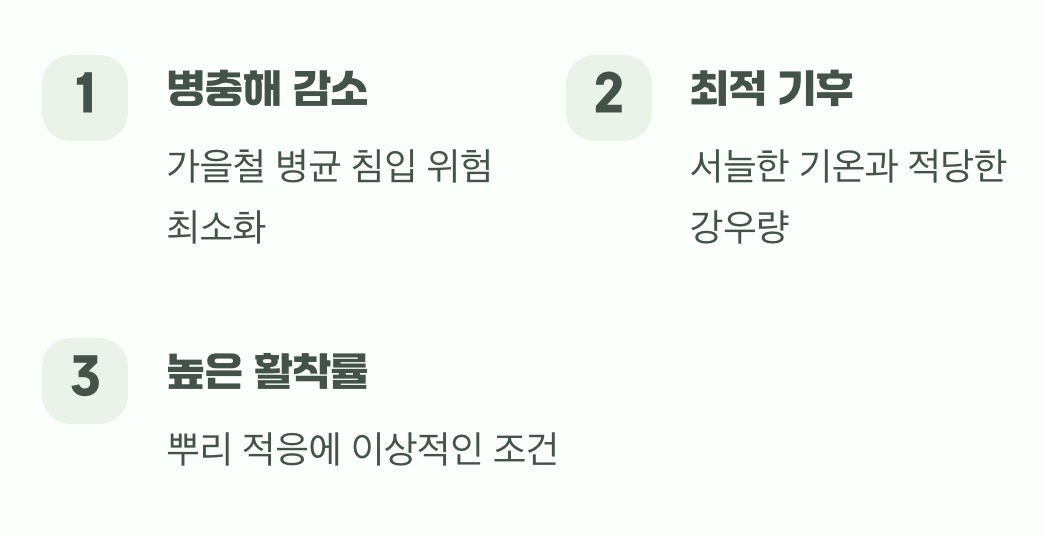 스트레스는 최소, 활착률은 최고