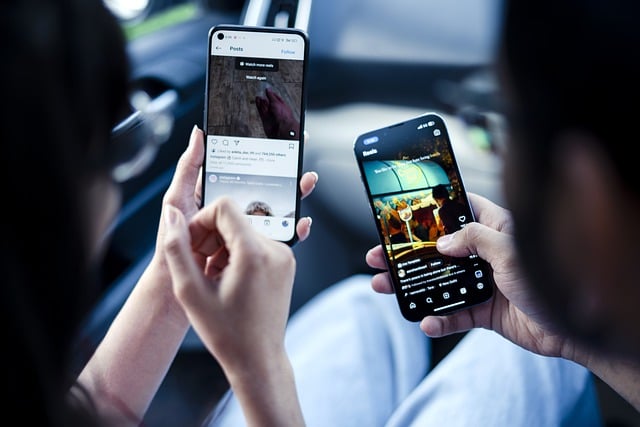 캡컷 pc 다운로드