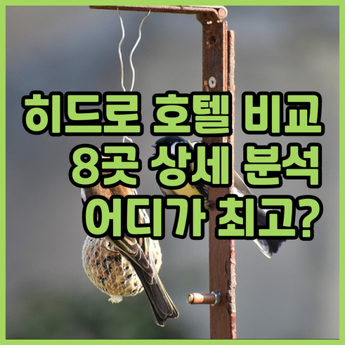 히드로 공항 인근 호텔 8곳 상세 비