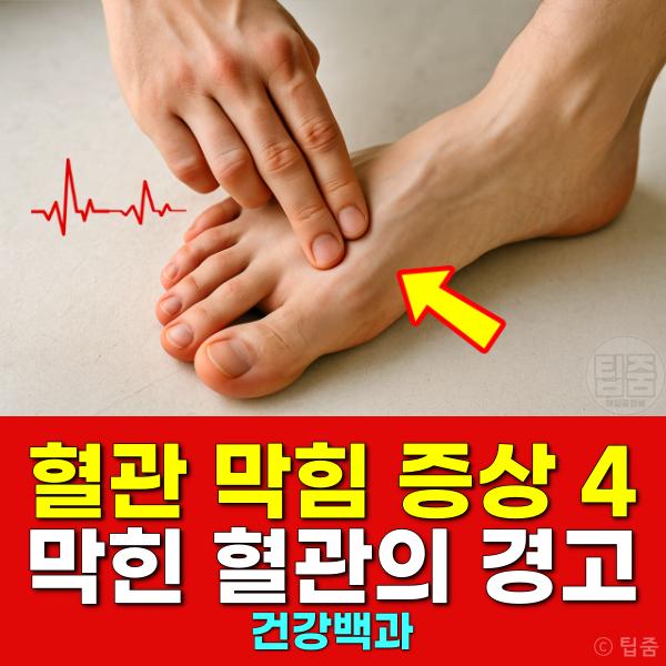 혈관 막힘 증상 치료