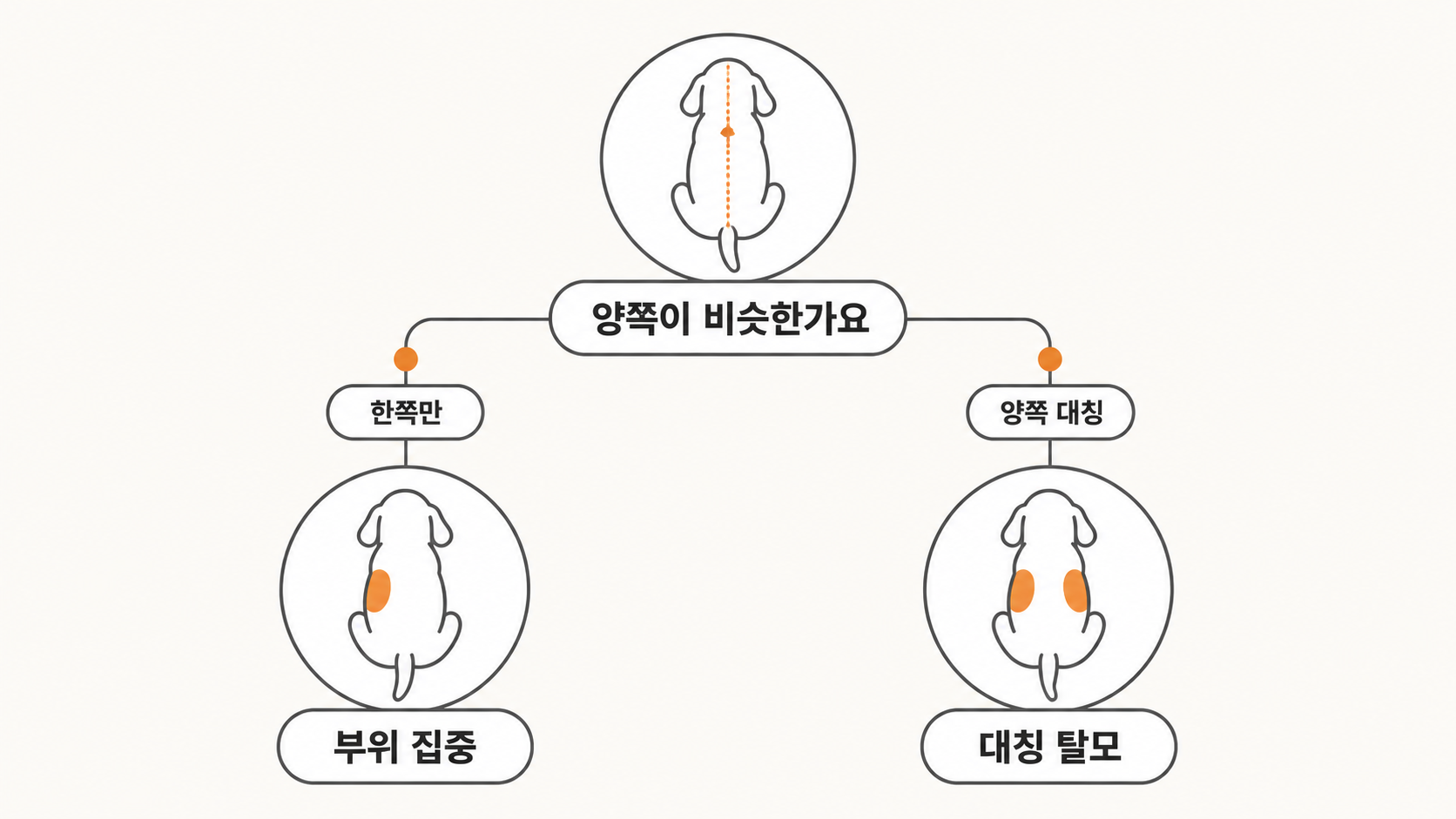 집에서 확인하는 갈림길