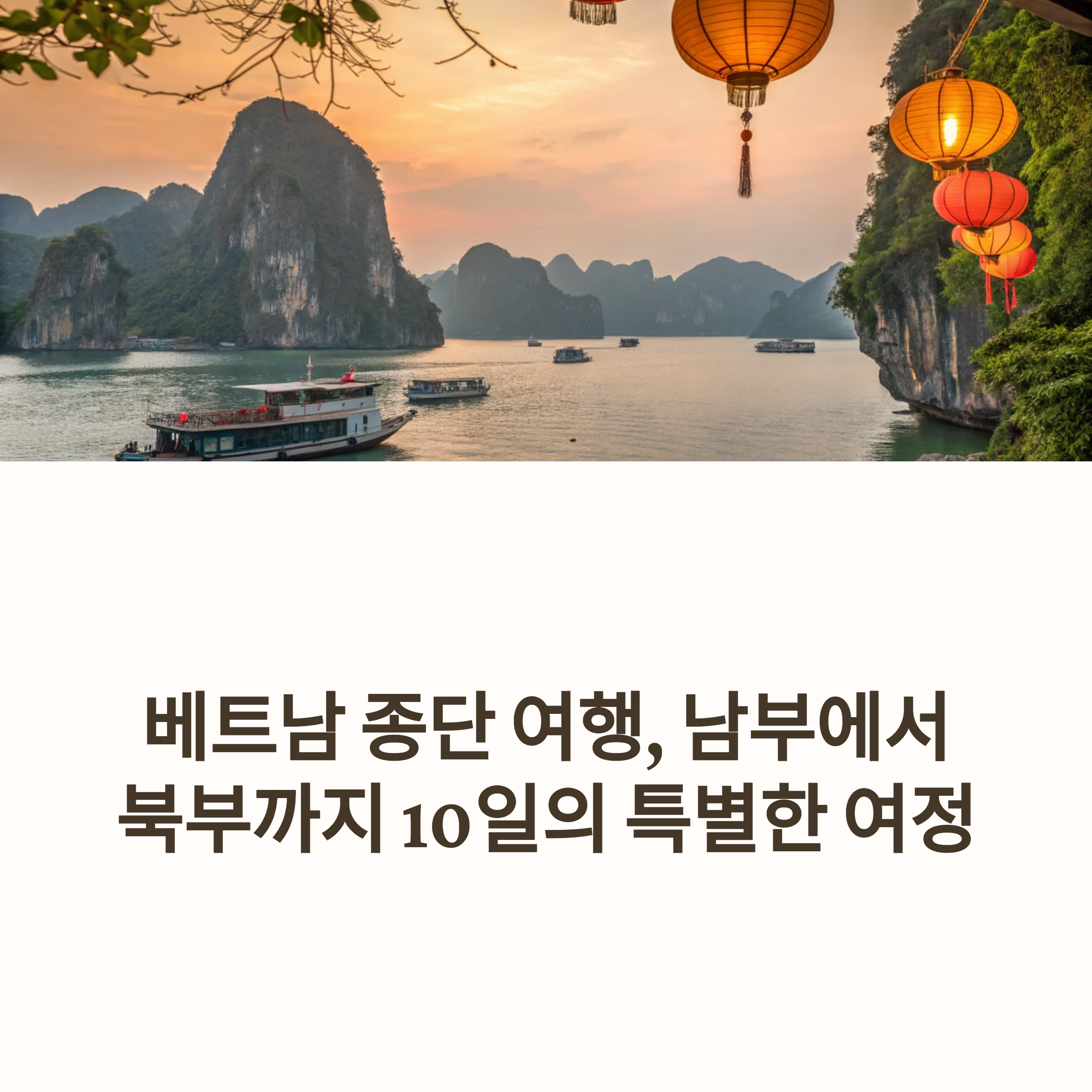 베트남 종단 여행기