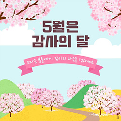 스승의 날 선물 best 10