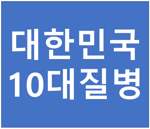 한국인이 자주 겪는 10대 질병은 무엇?