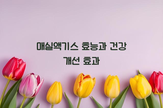 매실액기스 효능