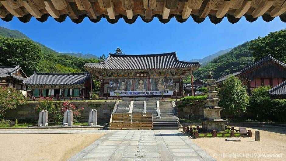 구례 가볼만한곳 베스트10