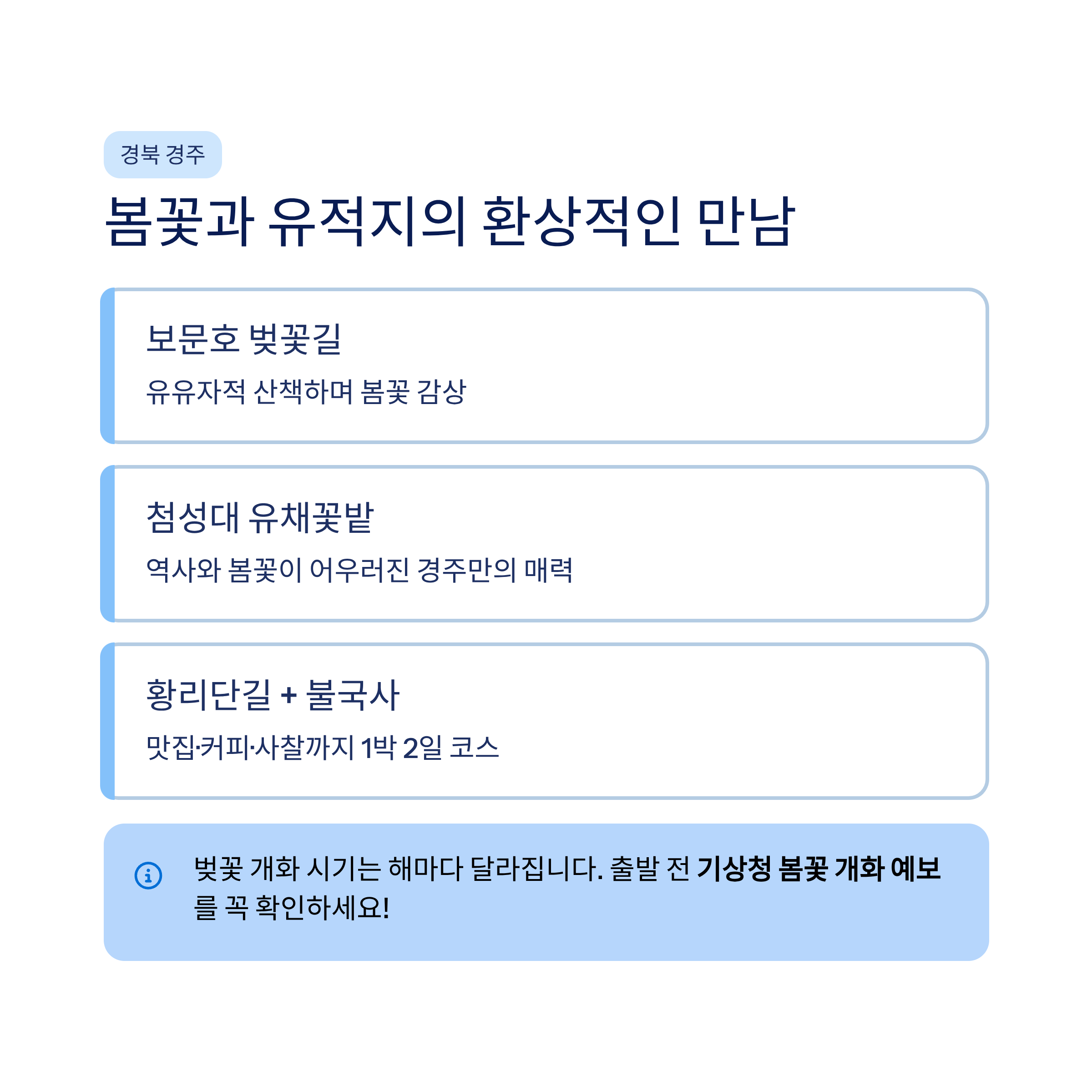 봄 국내 여행지 추천 – 40·50대가 진짜 좋아하는 가볼만한곳 총정리