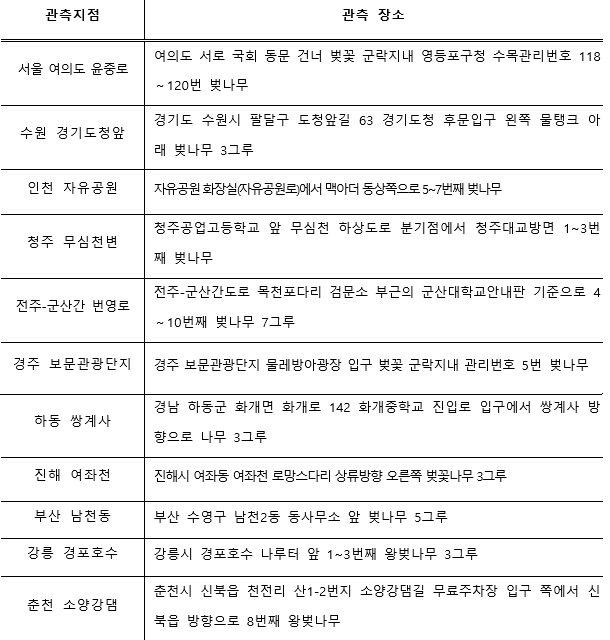 벚꽃개화