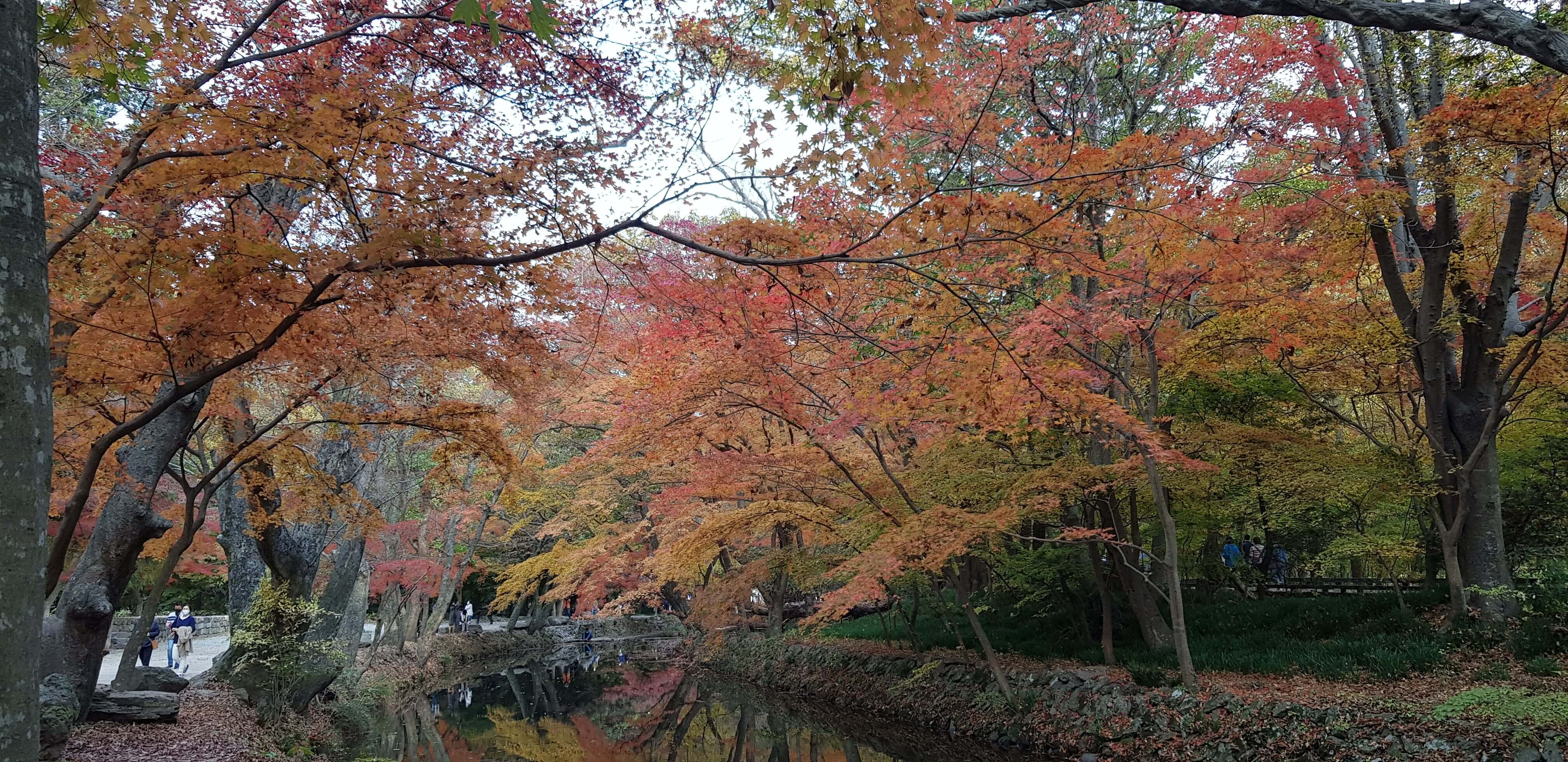 장태산 자연휴양림 예약 방법 및 숙박 입장료