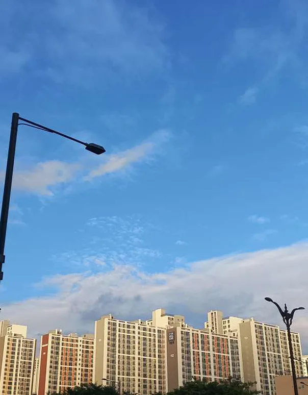 분당두각학원