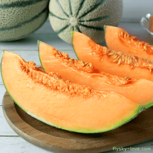 칸탈로프멜론 고르는 법