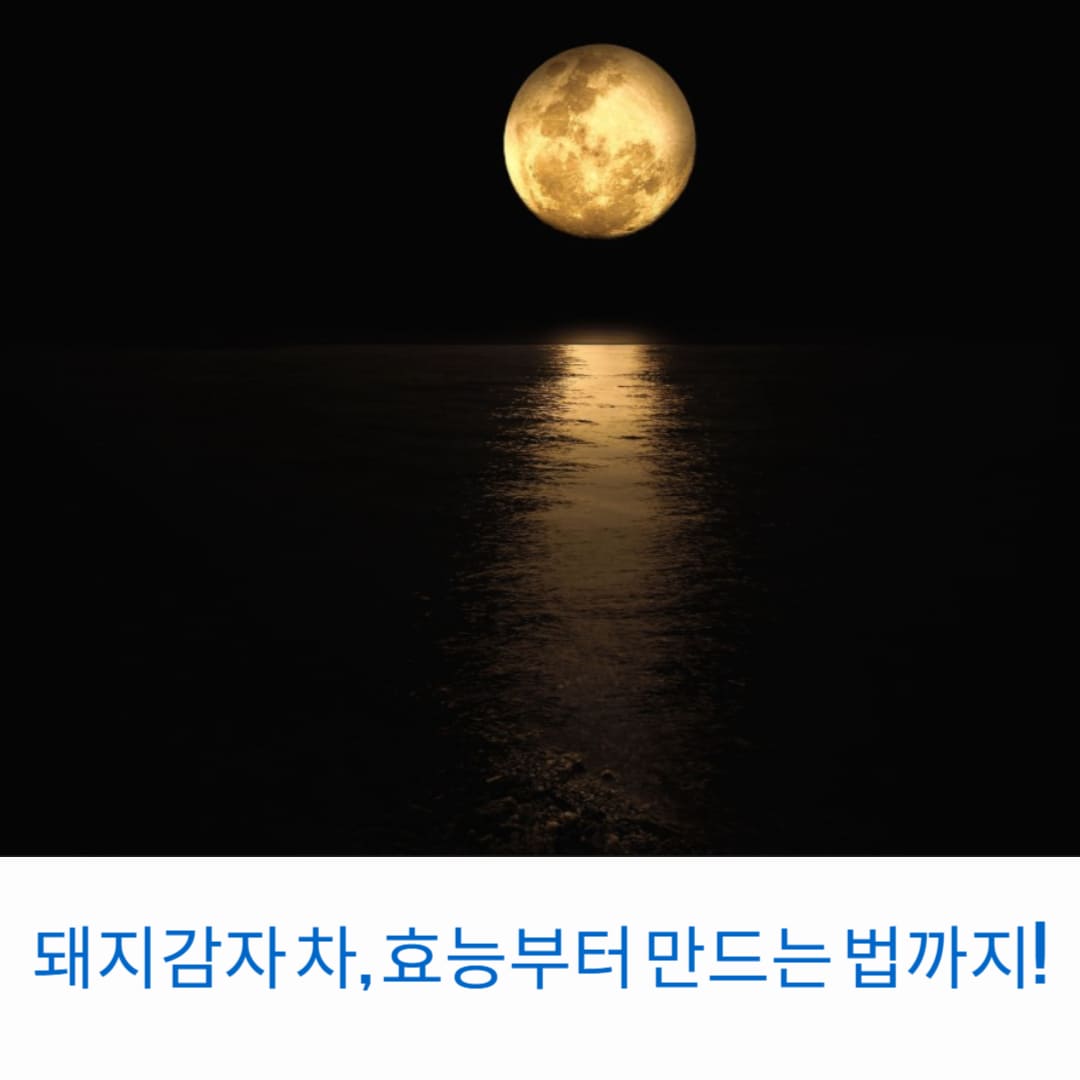 돼지감자-차-효능부터-만드는-법까지-썸네일