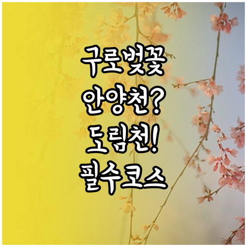 구로구 동네별 벚꽃 명소 비교 안양천..
