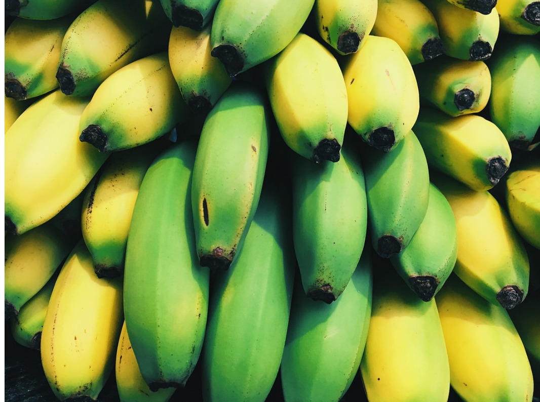 녹색바나나가 다이어트에 효과적인 이유