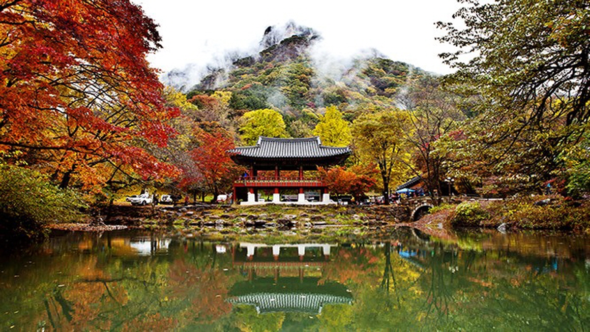 힐링 명소 장성 백양사