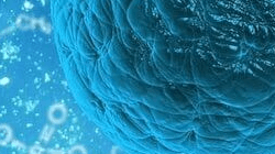 Tile 10