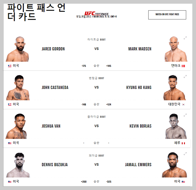 UFC 295 언더 카드