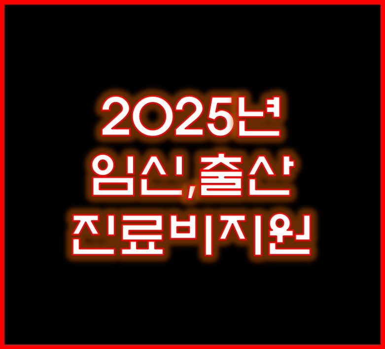 임신출산 진료비 지원