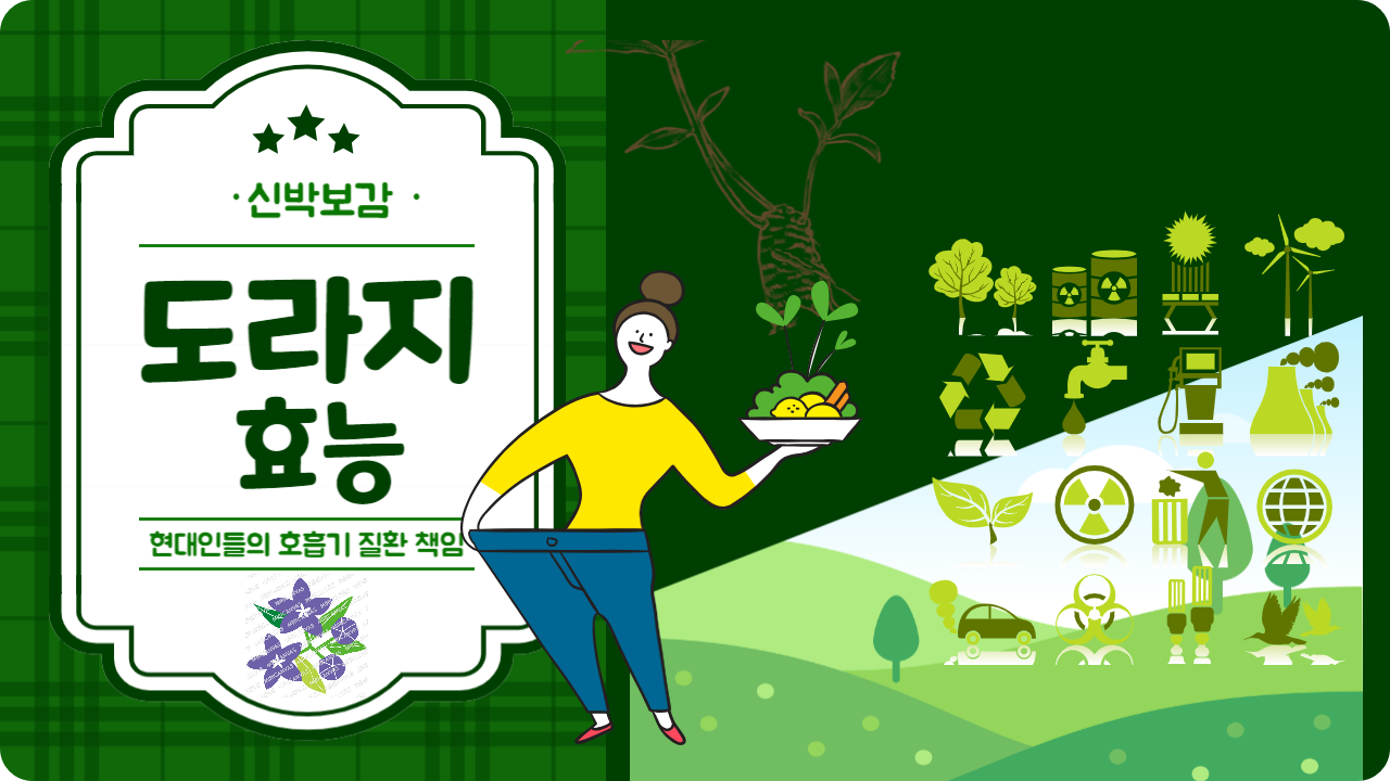 [도라지의 놀라운 효능] 현대인들의 호흡기질환 책임질 동방의 불로초