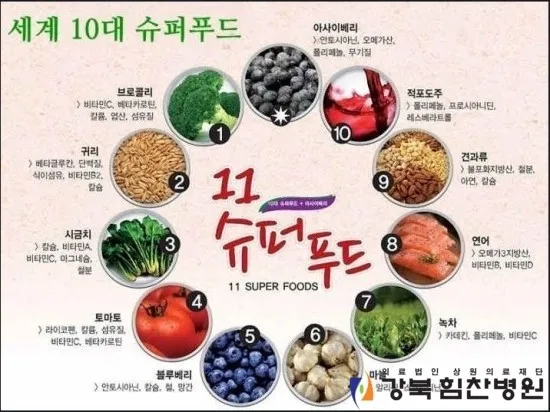 슈퍼푸드 종류 효능_4