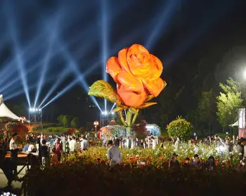 울산대공원 장미축제_18