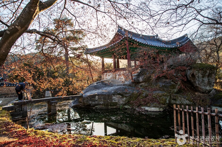 봉화 가볼만한곳 베스트 10