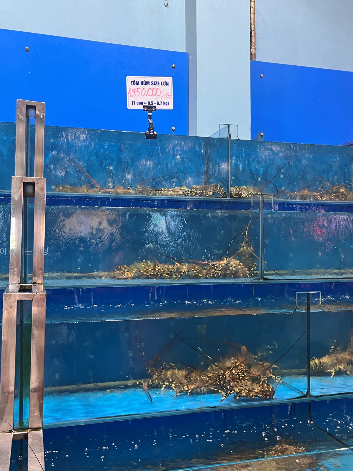 가족해외여행-나트랑-해산물-맛집-빈산-웨이팅대기,추천메뉴,랍스터-후기