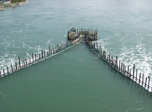 남해 지족의 죽방렴 현장사진