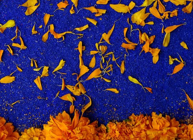 마리골드 메리골드 꽃차 효능 10가지